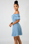 Denim Fit and Flare Mini Dress