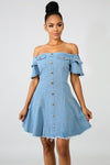 Denim Fit and Flare Mini Dress